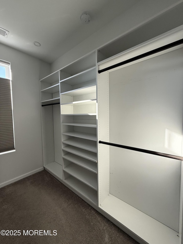 300 Prestige Rd, Brick, NJ 08723 - walk in closet with carpet flooring