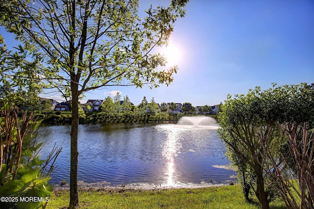 7 Jester Ct, Monroe, NJ 08831 - water view