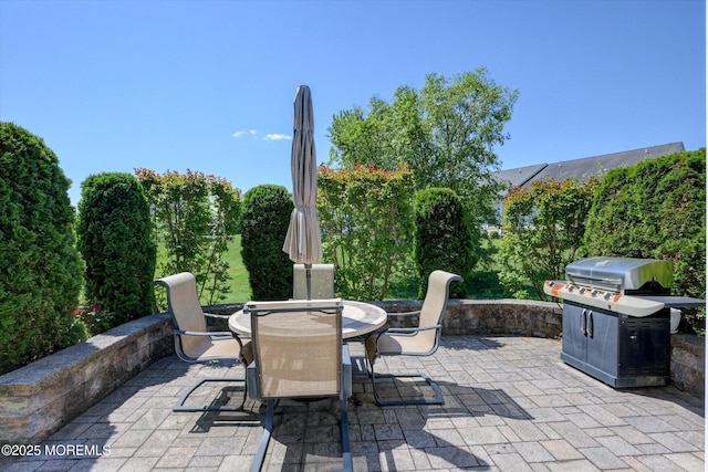 7 Jester Ct, Monroe, NJ 08831 - view of patio with outdoor dining space and area for grilling