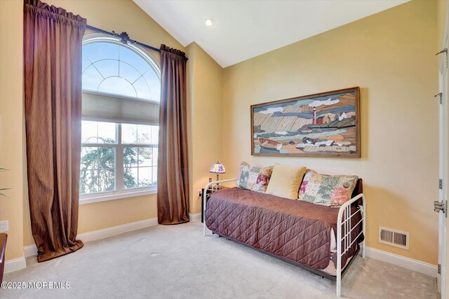 7 Jester Ct, Monroe, NJ 08831 - carpeted bedroom with lofted ceiling and baseboards