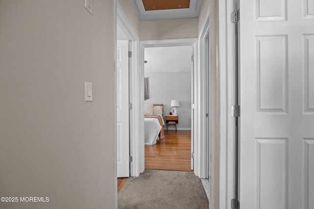 33 Red Maple Dr, Brick, NJ 08724 - hall with carpet floors