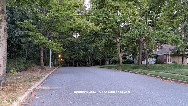 731A Chatham Ln, Manchester, NJ 08759 - view of asphalt road featuring curbs