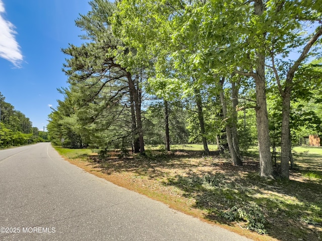 698 Miller Ave, Jackson, NJ 08527 - photo 26