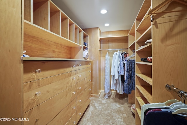 787 Ocean Ave Unit 1711, Long Branch, NJ 07740 - walk in closet with carpet flooring