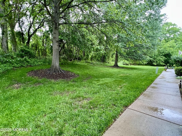 5 Lincoln Ct, Tinton Falls, NJ 07712 - view of green lawn