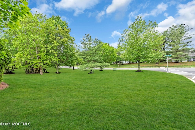 34 Shoal Rd, Jackson, NJ 08527 - view of green lawn