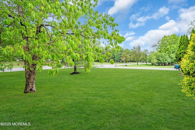 34 Shoal Rd, Jackson, NJ 08527 - view of green lawn