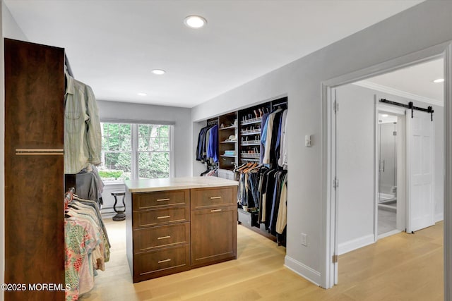 12 Wagon Way, Holmdel, NJ 07733 - spacious closet with a barn door and light wood-type flooring