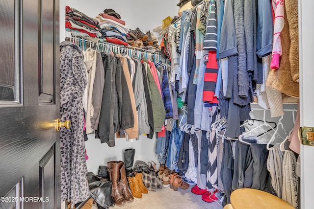 707 Cedar Point Ct, Toms River, NJ 08753 - view of walk in closet