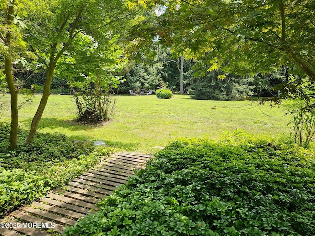 2897 State Route 138, Wall, NJ 07719 - view of green lawn