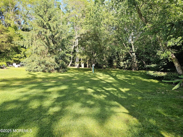 2897 State Route 138, Wall, NJ 07719 - view of green lawn