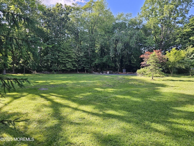 2897 State Route 138, Wall, NJ 07719 - view of green lawn