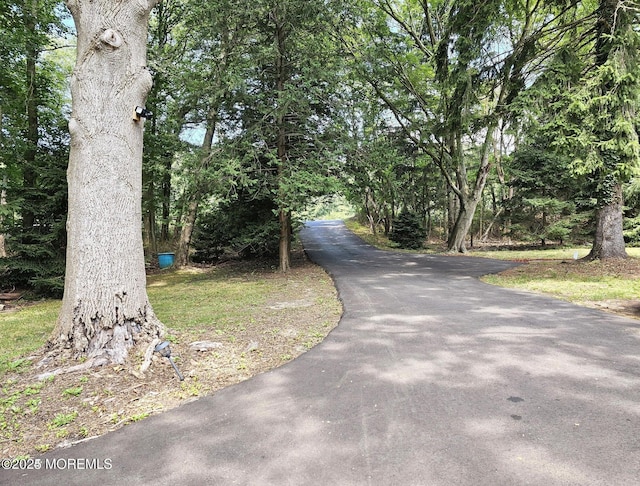 2897 State Route 138, Wall, NJ 07719 - view of road