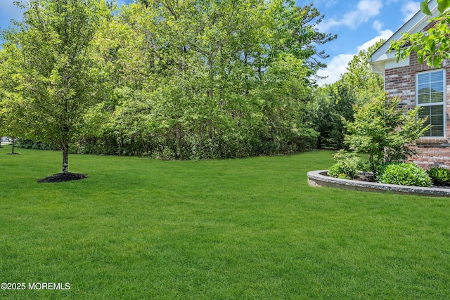 24 Beach Haven Way, Waretown, NJ 08758 - view of green lawn