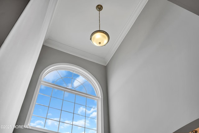 24 Beach Haven Way, Waretown, NJ 08758 - detailed view of crown molding