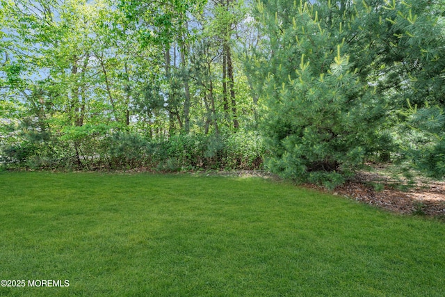 24 Beach Haven Way, Waretown, NJ 08758 - view of grassy yard