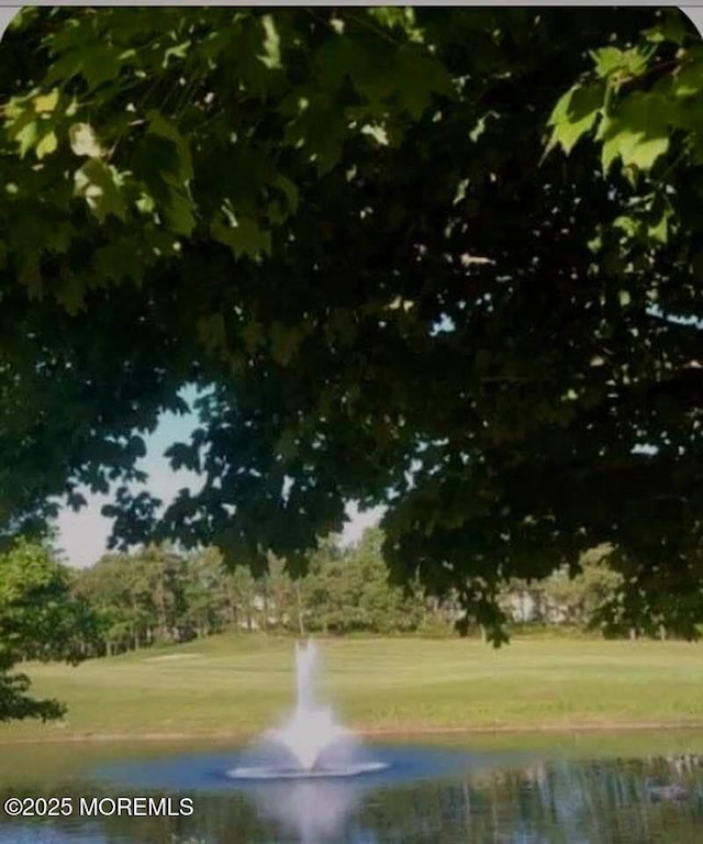 24 Beach Haven Way, Waretown, NJ 08758 - water view with a golf club and a tree filled landscape
