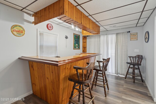 131 S Commodore Dr, Little Egg Harbor, NJ 08087 - indoor dry bar featuring a paneled ceiling, wood finished floors, and baseboards