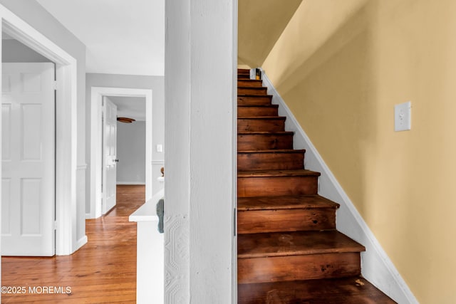 208 Cedar St, Lakehurst, NJ 08733 - stairway featuring wood finished floors and baseboards
