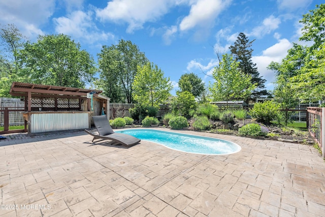 208 Cedar St, Lakehurst, NJ 08733 - view of pool featuring a patio and a fenced backyard
