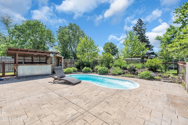 208 Cedar St, Lakehurst, NJ 08733 - view of swimming pool with a patio area and a fenced backyard