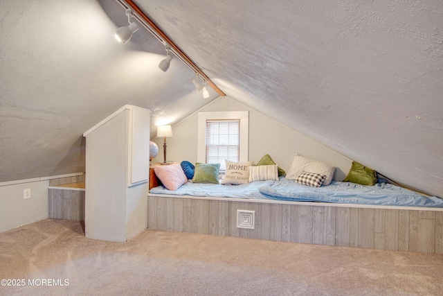 112 Bash Rd, Toms River, NJ 08753 - bedroom with rail lighting, carpet floors, lofted ceiling, and a textured ceiling