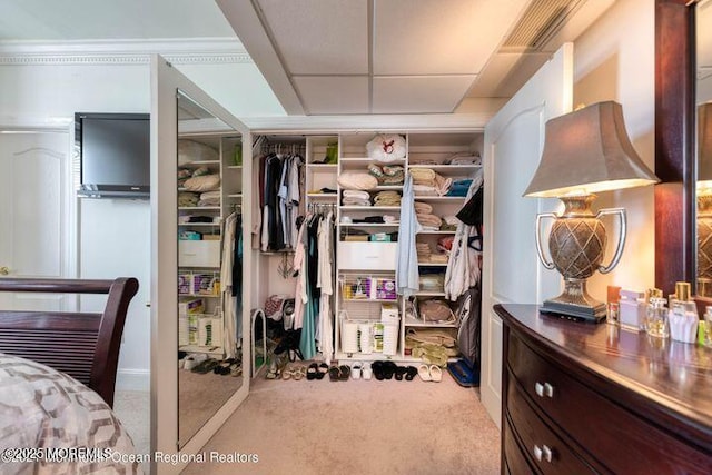 700 Ocean Ave Unit 514, Spring Lake, NJ 07762 - view of carpeted bedroom