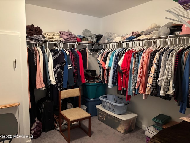 9 Pine Grove Ave, Manahawkin, NJ 08050 - walk in closet with carpet floors
