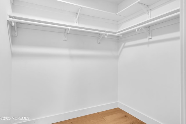 28 Twyford Ln, Manchester, NJ 08759 - walk in closet featuring light wood-style flooring