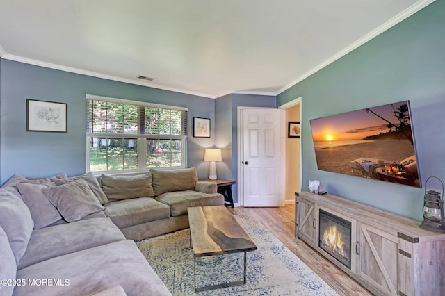 22 Commons Dr, Neptune Township, NJ 07753 - living room with light wood-style flooring, crown molding, a glass covered fireplace, and baseboards