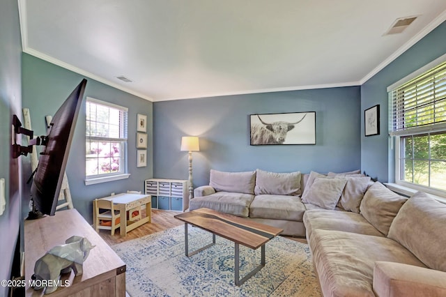 22 Commons Dr, Neptune Township, NJ 07753 - living area featuring wood finished floors and ornamental molding