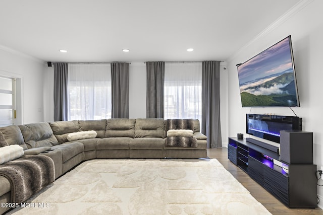 11 Clay St, West Long Branch, NJ 07764 - living area with crown molding, plenty of natural light, wood finished floors, and recessed lighting