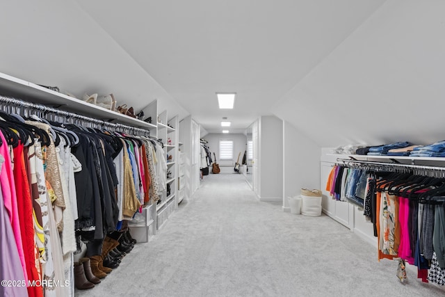 11 Clay St, West Long Branch, NJ 07764 - spacious closet featuring carpet and lofted ceiling