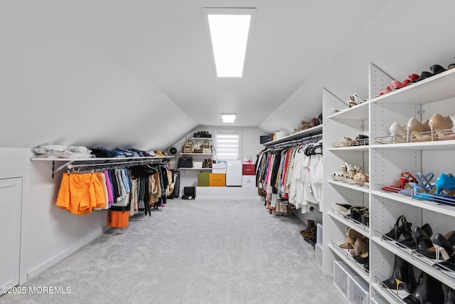 11 Clay St, West Long Branch, NJ 07764 - spacious closet with carpet flooring and vaulted ceiling