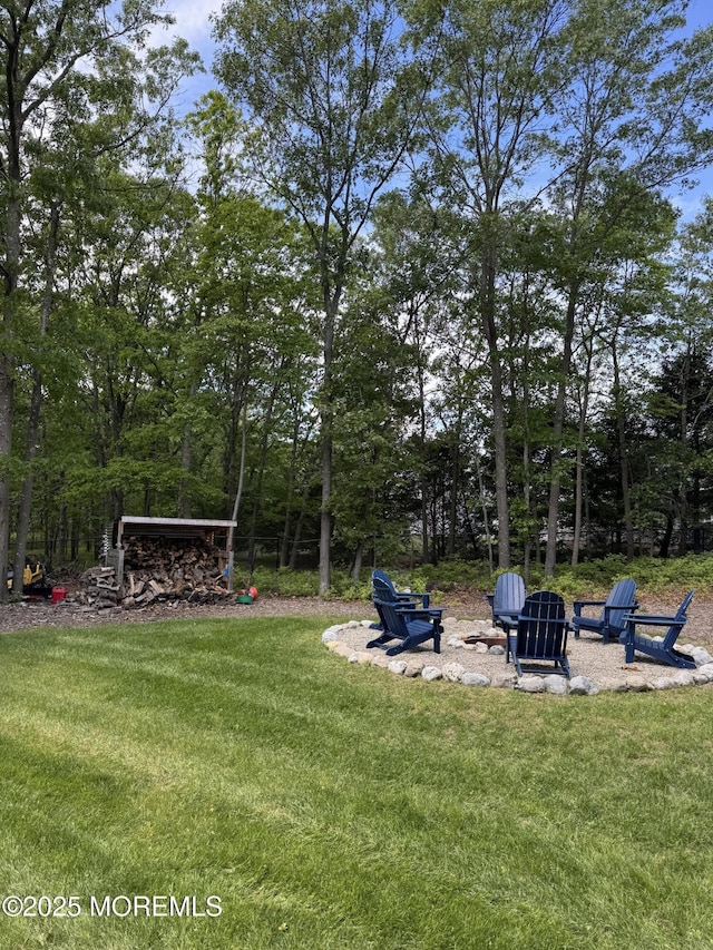 63 1st St, Barnegat, NJ 08005 - view of green lawn