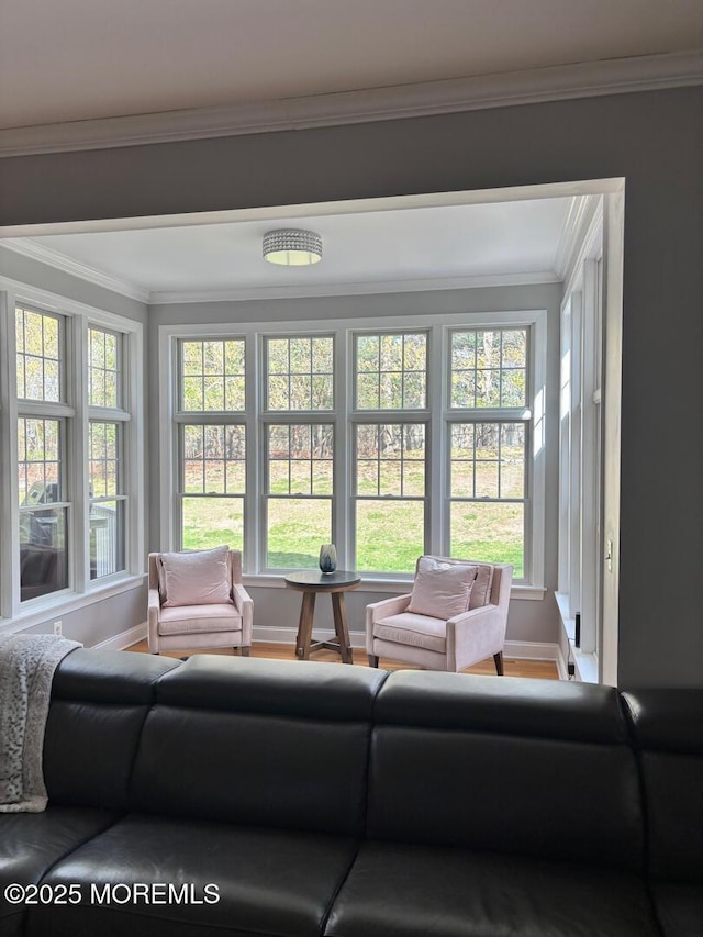 231 Friendship Rd, Howell, NJ 07731 - view of sunroom / solarium