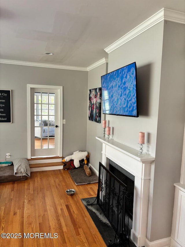 231 Friendship Rd, Howell, NJ 07731 - living room with a fireplace with flush hearth, ornamental molding, wood finished floors, and baseboards