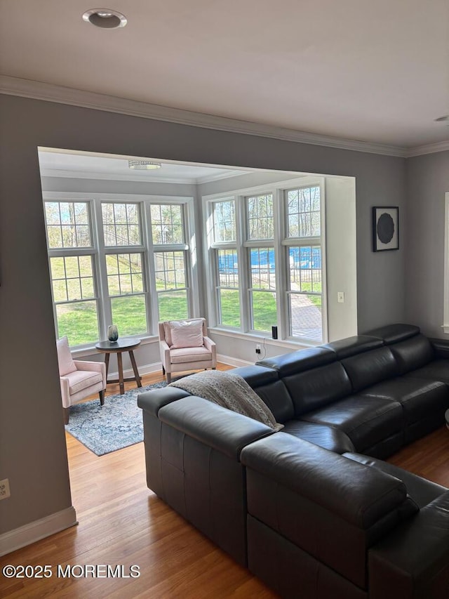 231 Friendship Rd, Howell, NJ 07731 - living room featuring crown molding, light wood-style floors, and baseboards