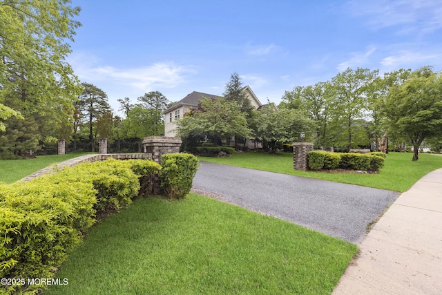 17 Meadow Run Ct, Jackson, NJ 08527 - view of front of home featuring asphalt driveway and a front lawn
