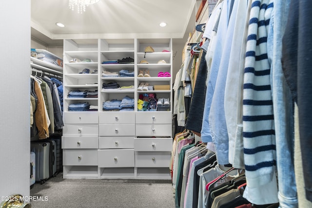 17 Meadow Run Ct, Jackson, NJ 08527 - spacious closet with carpet flooring
