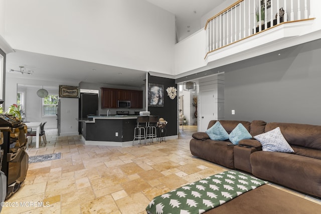 17 Meadow Run Ct, Jackson, NJ 08527 - living room featuring stone tile floors, a high ceiling, and baseboards