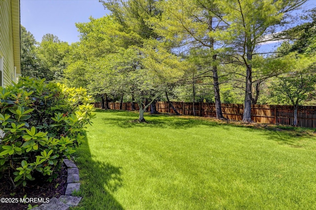 56 Hazel Dr, Freehold, NJ 07728 - view of yard