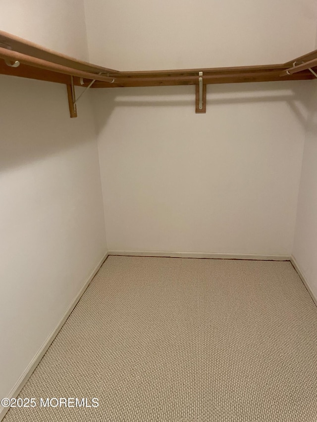 57 Pape Dr, Atlantic Highlands, NJ 07716 - walk in closet featuring carpet flooring