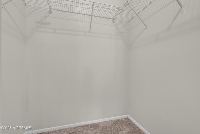 59 Maryland Ave Unit B, Whiting, NJ 08759 - spacious closet with carpet floors