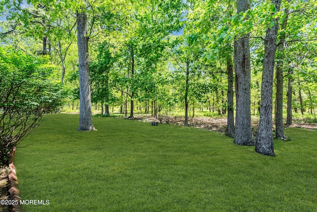 59 Maryland Ave Unit B, Whiting, NJ 08759 - view of grassy yard