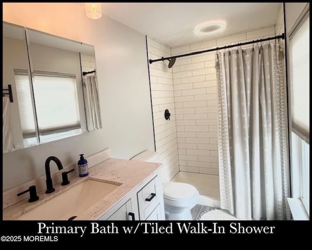 123 France St, Toms River, NJ 08753 - bathroom with plenty of natural light, vanity, and toilet