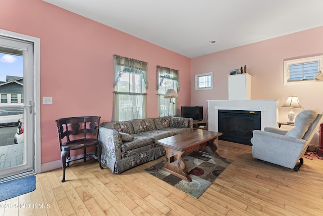 134 Franklin Ave, Ocean Grove, NJ 07756 - living room featuring wood-type flooring and a fireplace