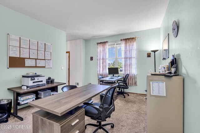 1 Overlook Ct, Manchester, NJ 08759 - view of carpeted home office