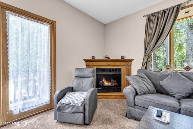 1 Overlook Ct, Manchester, NJ 08759 - living room with a glass covered fireplace, carpet, and lofted ceiling