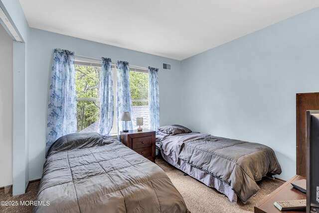 1 Overlook Ct, Manchester, NJ 08759 - bedroom featuring carpet flooring